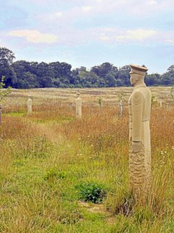 Langley Vale Woods, the regiment of trees