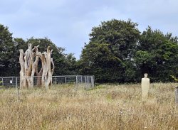 Langley vale wood, the regiment of trees and the Witness Sculpture Wallpaper