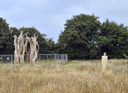 Langley vale wood, the regiment of trees and the Witness Sculpture