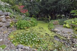 Doddington Place Rock Garden Wallpaper