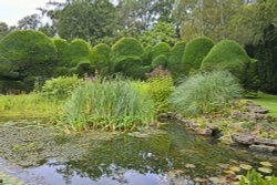 Doddington Place Garden Pond Wallpaper