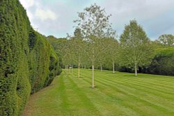 Doddington Place Folly Walk Wallpaper