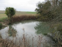 Well Head Springs, Bassingbourn, Cambridgeshire Wallpaper