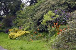 Borde Hill Garden Wallpaper