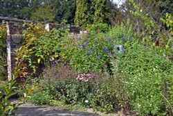 Borde Hill Garden Wallpaper