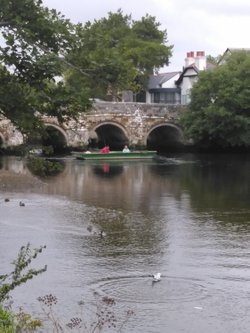 Fishing on Christchurch river