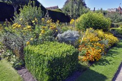 Penshurst Place Gardens Wallpaper