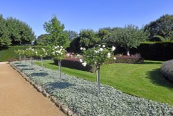 Penshurst Place Gardens Wallpaper