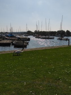 Nice day by Christchurch Quay