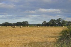 Roydon at harvest time Wallpaper