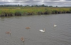 Oulton Broad Wallpaper