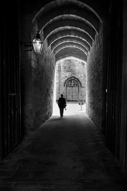 Raby Castle, Staindrop, County Durham.
