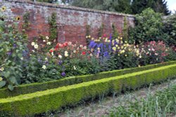 Raveningham Gardens Wallpaper