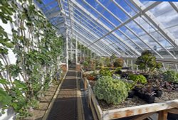 Raveningham Gardens Wallpaper