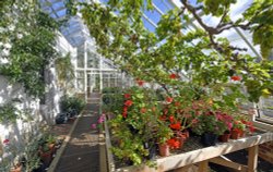 Raveningham Gardens Wallpaper