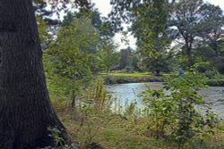 The Lake at Raveningham Gardens Wallpaper
