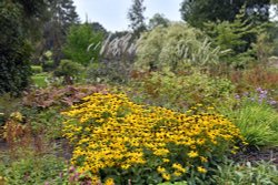 Bressingham Gardens Wallpaper