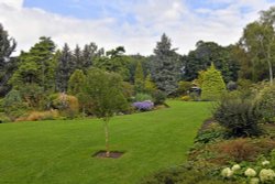 Bressingham Gardens Wallpaper