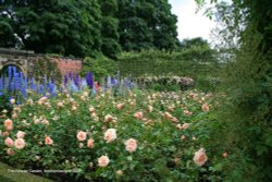 The Alnwick Garden in Alnwick