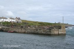 Craster harbour with Dunstanburgh Castle in the background Wallpaper