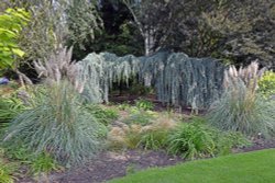 Bressingham Gardens Wallpaper