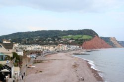 Sidmouth Wallpaper