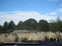 Congestion on the way to Chatsworth House Wallpaper