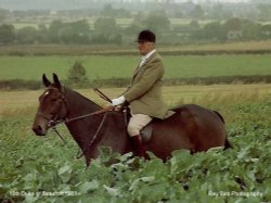 The 10th Duke of Beaufort 1981
