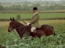 The 10th Duke of Beaufort 1981 Wallpaper