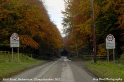 Slait Road, Badminton, Gloucestershire 2012 Wallpaper