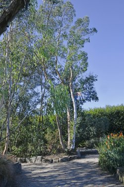 Lullingstone Castle World Garden