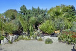 Lullingstone Castle World Garden Wallpaper