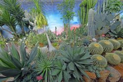Lullingstone Castle Garden, The Cactus House Wallpaper