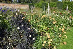 Goodnestone Park Garden Wallpaper