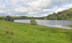 Talley Lake Wallpaper