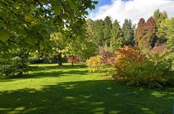 The Botanical Gardens, Bath Wallpaper