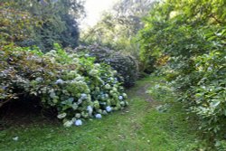 Goodnestone Park Gardens Wallpaper