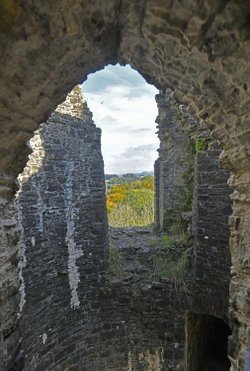 Dinefwr Castle