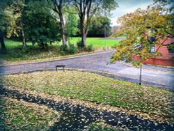 Autumn 2021 Wallpaper