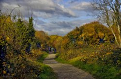 Autumn Ride Wallpaper