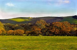 Hambledon Hill Fort