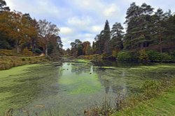 Leonardslee Gardens Wallpaper