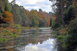 Leonardslee Gardens Wallpaper