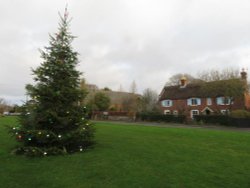 Christmas tree on Burton village green plus house, near Christchurch