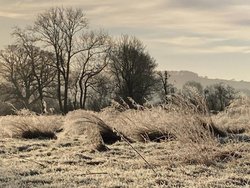 Frosty morning in Broome