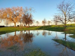 A Beautiful Reflection on a Bright Winter Day in Gordon Gardens, Gravesend