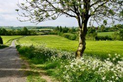 Arthingworth, Northamptonshire Wallpaper