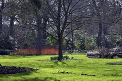 RHS Garden at Wisley Wallpaper