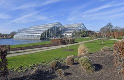 Garden at RHS Wisley Wallpaper