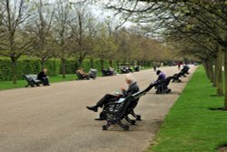 Well Patronised Park Benches in Regents Park Wallpaper
